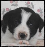 jess-new-home-diary